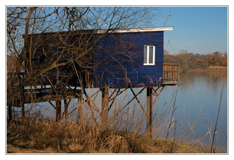 BLOG-DSC_1199-Carrelet Arcins