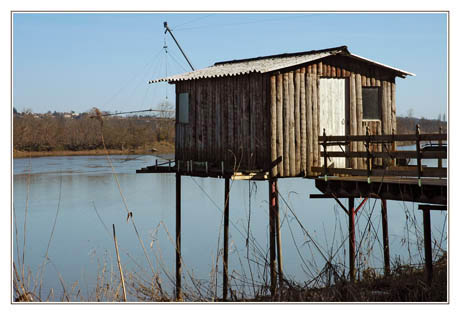 BLOG-DSC_1201-Carrelet Arcins