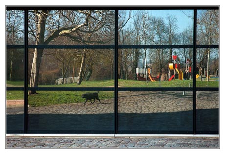 BLOG-DSC_1251-reflet Rives d'Arcins