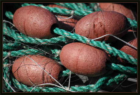 BLOG-DSC_1381-filet et flotteurs