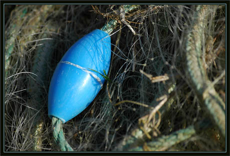 BLOG-DSC_1382-filet et flotteur bleu