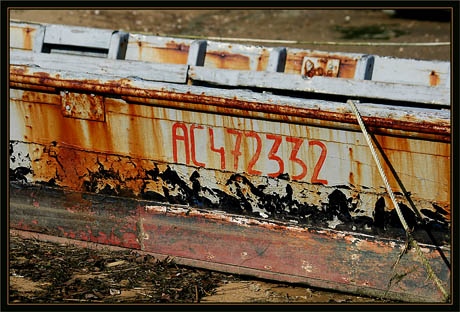 BLOG-DSC_1383-coque écaillée