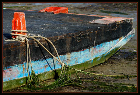 BLOG-DSC_1384-proue vieille plate