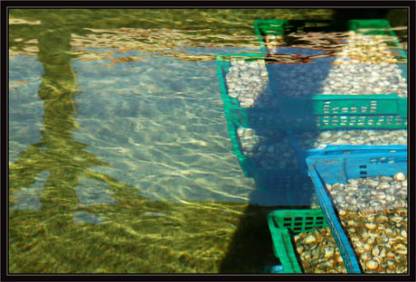 BLOG-DSC_1386-bassin affinage