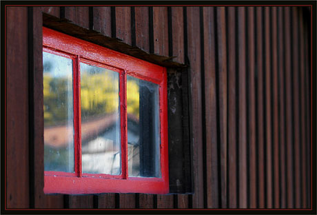 BLOG-DSC_1392-fenêtre reflet mimosa