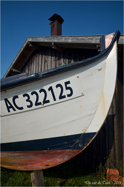 BLOG-DSC_27414-pinasse Yvonne port du Canal