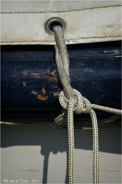 BLOG-DSC_27417-pinasse Yvonne port du Canal