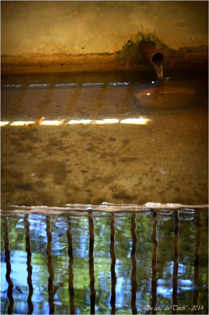 BLOG-DSC_28115-lavoir domaine de Grenade