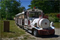 BLOG-DSC_28193-petit train domaine de Grenade