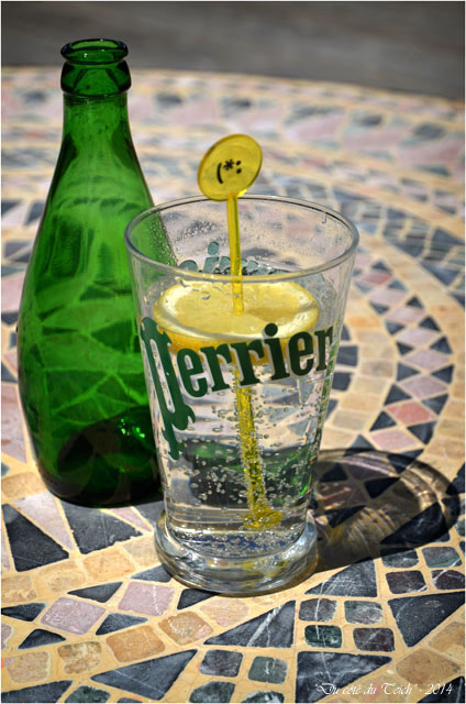 BLOG-DSC_28208-perrier domaine de Grenade