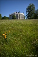 BLOG-DSC_28395-herbes folles château domaine de Grenade
