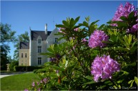 BLOG-DSC_28423-rhododendrons et château domaine de Grenade