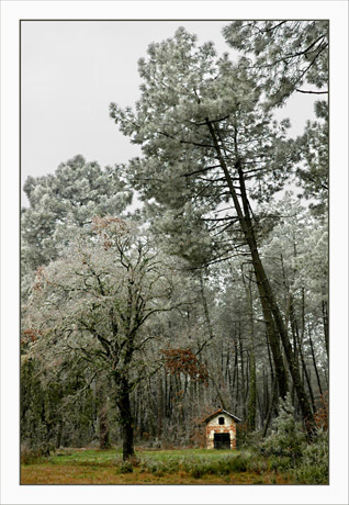 BLOG-DSC_4441-Castandet sous le givre