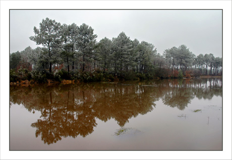 BLOG-DSC_4456-étang de Balanos