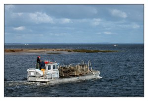 BLOG-DSC_5555-plate avec pochons