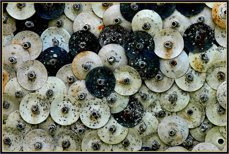 BLOG-DSC_5586-collecteurs à lamelles souples de face