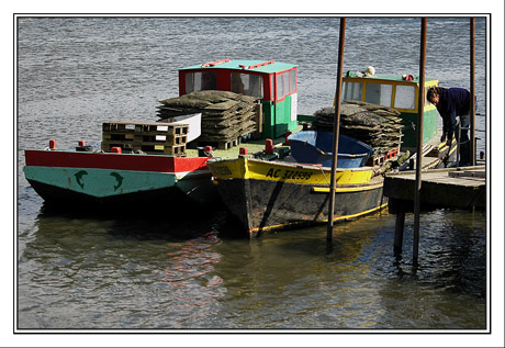 BLOG-DSC_5721-retour des parcs