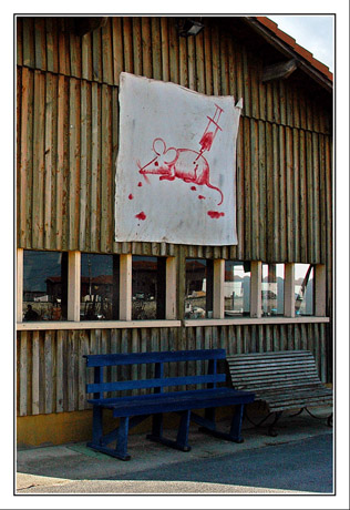 BLOG-DSC_5723-test de la souris