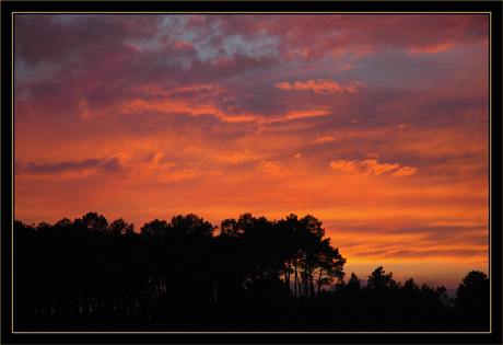 BLOG-DSC_5779-couchant 1er Avril  07