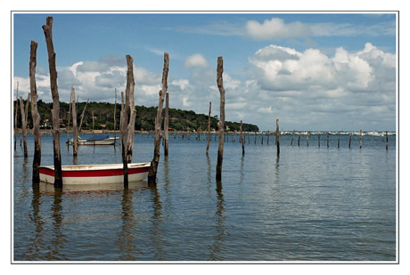 BLOG-DSC_7632-piquets, barque & rivage Piraillan
