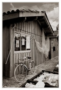 BLOG-DSC_7888-cabanes & vélo écomusée Taussat sépia