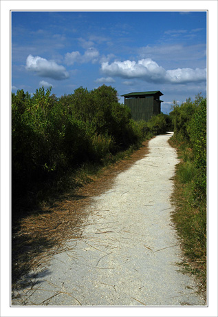 BLOG-DSC_8419-chemin & mirador