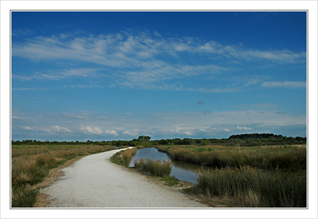 BLOG-DSC_8454-chemin retour