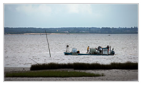 BLOG-DSC_8657-retour des parcs