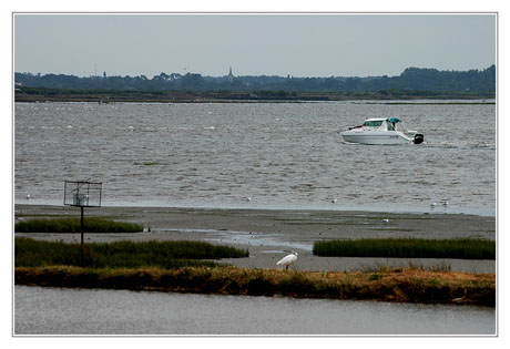 BLOG-DSC_8664-plaisance Audenge et égilse du Teich