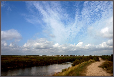 BLOG-DSC_8699-sentier littoral Audenge