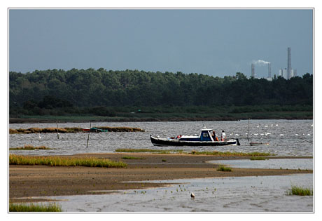 BLOG-DSC_8705-pinasse & Smurfit