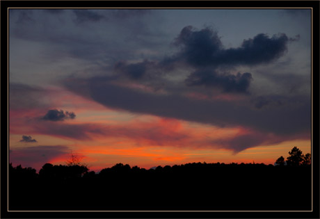 BLOG-DSC_8756-couchant 12 Août 07