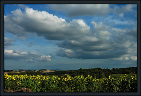 BLOG-DSC_9057-nuages & tournesols BLOG-DSC_9057-nuages & tournesols