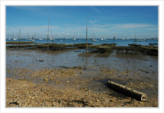 BLOG-DSC_9796-collecteur à lamelles & parcs