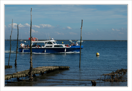 BLOG-DSC_9812-croisière & collecteurs à lamelles