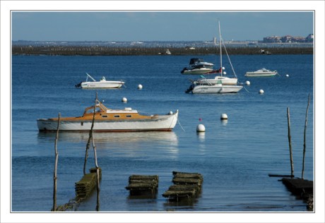BLOG-DSC_9868-pinasse, île aux oiseaux, Arcachon & Bassin&