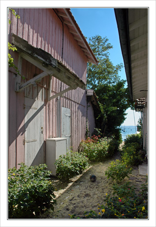 BLOG-DSC_9888-maison rose & Bassin