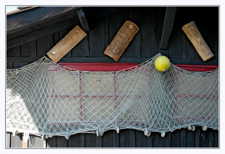 BLOG-DSC_9903-filets et tuiles cabane