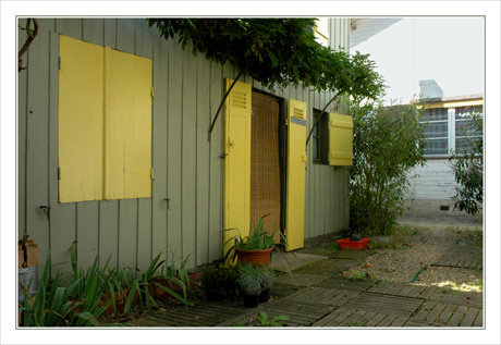 BLOG-DSC_9935 volets jaunes