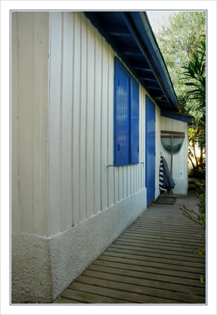 BLOG-DSC_9953-volets bleus & bichette