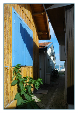 BLOG-DSC_9976volet bleu & -perspective Bassin