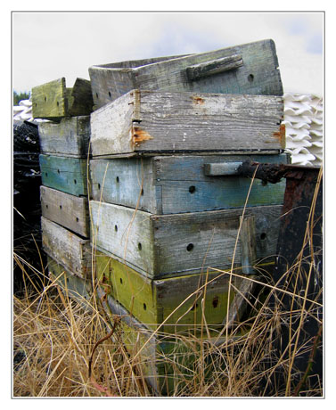 BLOG-IMG_0294-caissettes bois