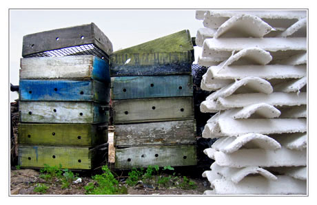 BLOG-IMG_0298-casiers, tuiles chaulées