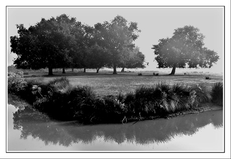 BLOG-IMG_1159-airial plaines du Teich BLOG-IMG_1159-airial plaines du Teich