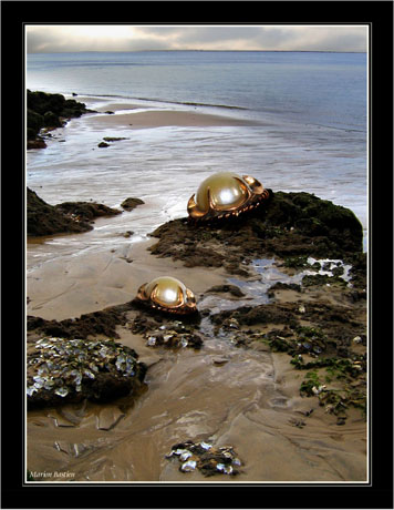 BLOG-Img_1428-MONTAGE perles de nos rivages