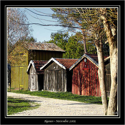 BLOG-Img_1700-allée des cabanes Biganos