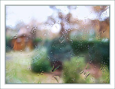 BLOG-IMG_1985-pluie jardin & reflet objectif