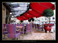 BLOG-Img_2118-le Régent Bdx