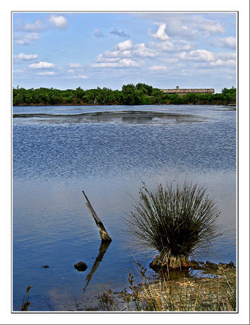 BLOG-IMG_5061-étang-&-cabane