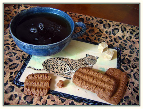 BLOG-IMG_6894-fauve, thé, bastogne croustillant